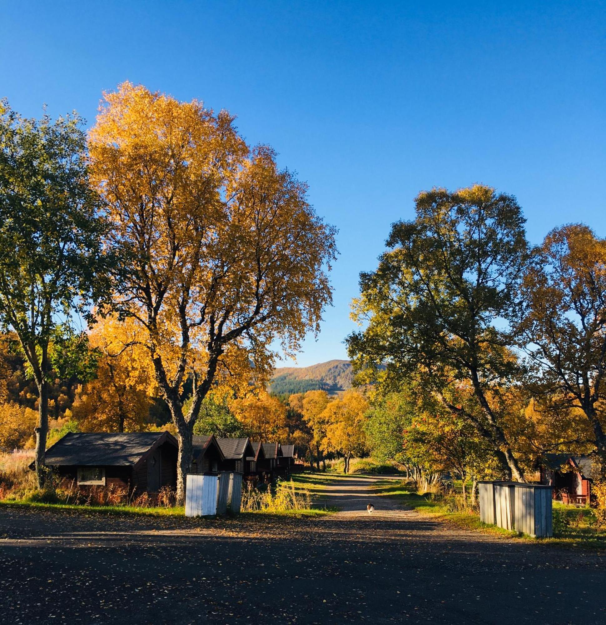 Sortland Camping Og Motell As Bagian luar foto