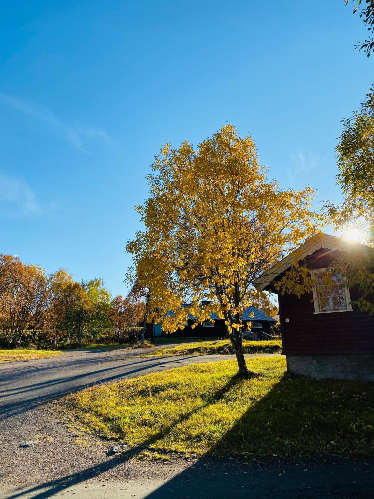 Sortland Camping Og Motell As Bagian luar foto