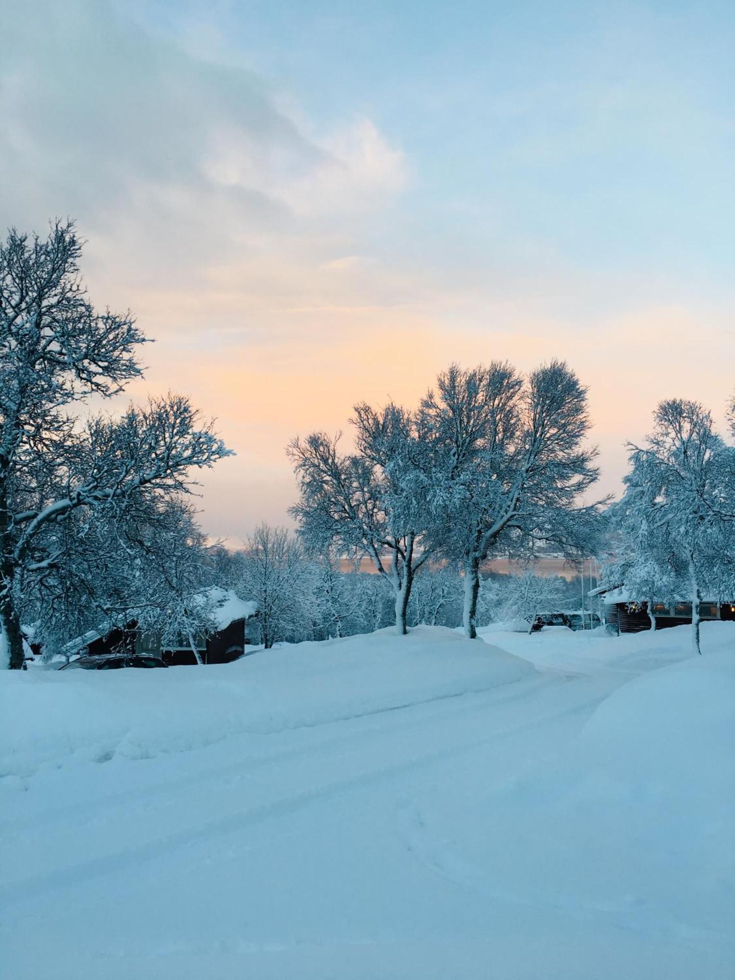 Sortland Camping Og Motell As Bagian luar foto