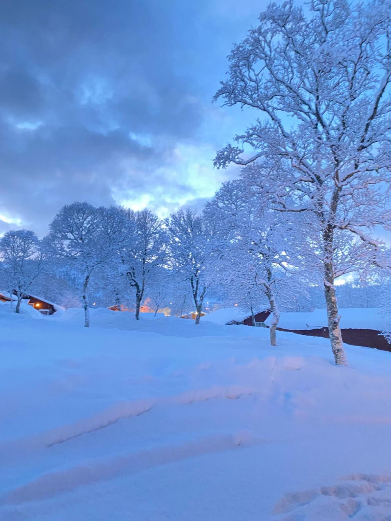 Sortland Camping Og Motell As Bagian luar foto