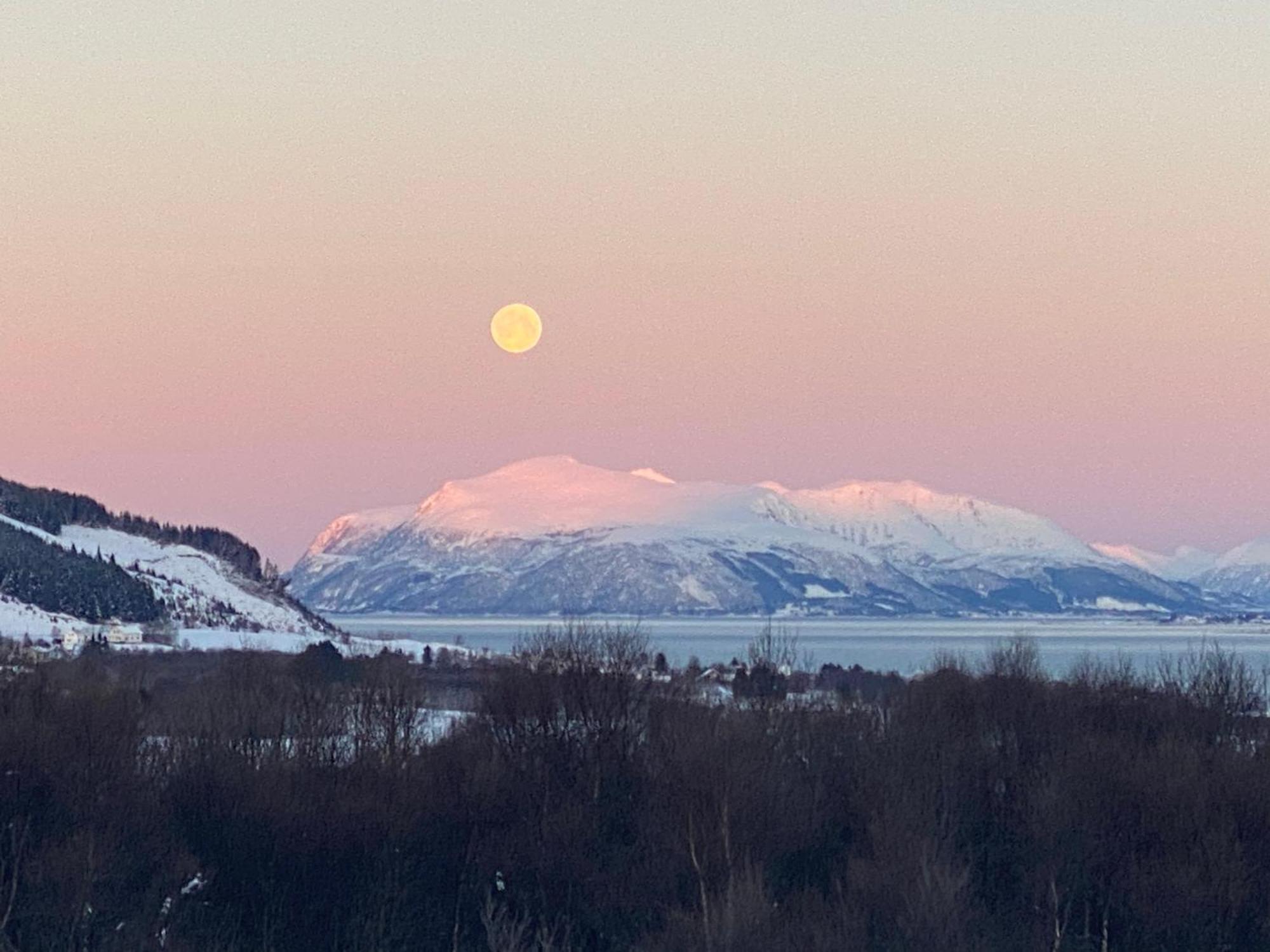 Sortland Camping Og Motell As Bagian luar foto