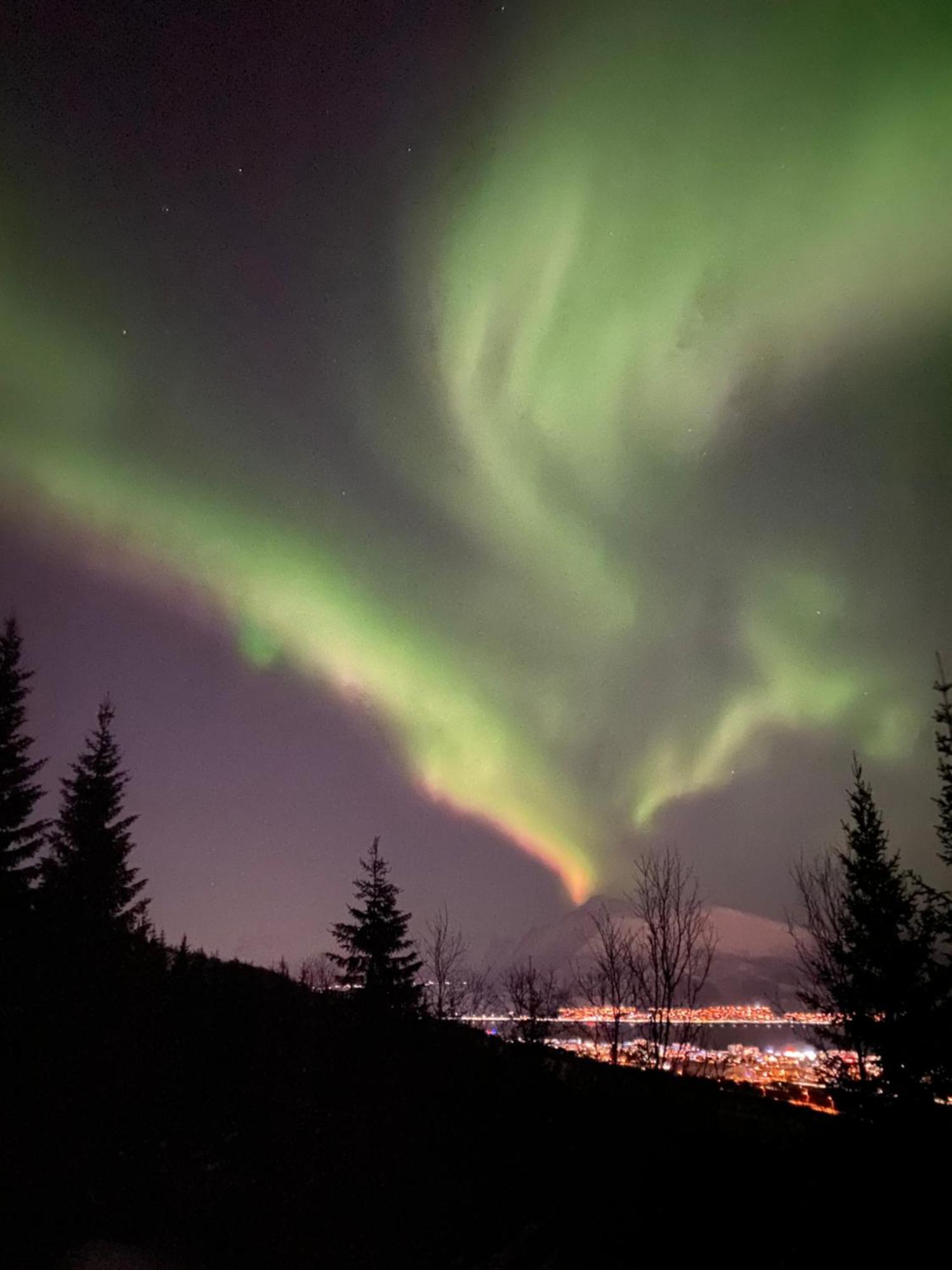 Sortland Camping Og Motell As Bagian luar foto