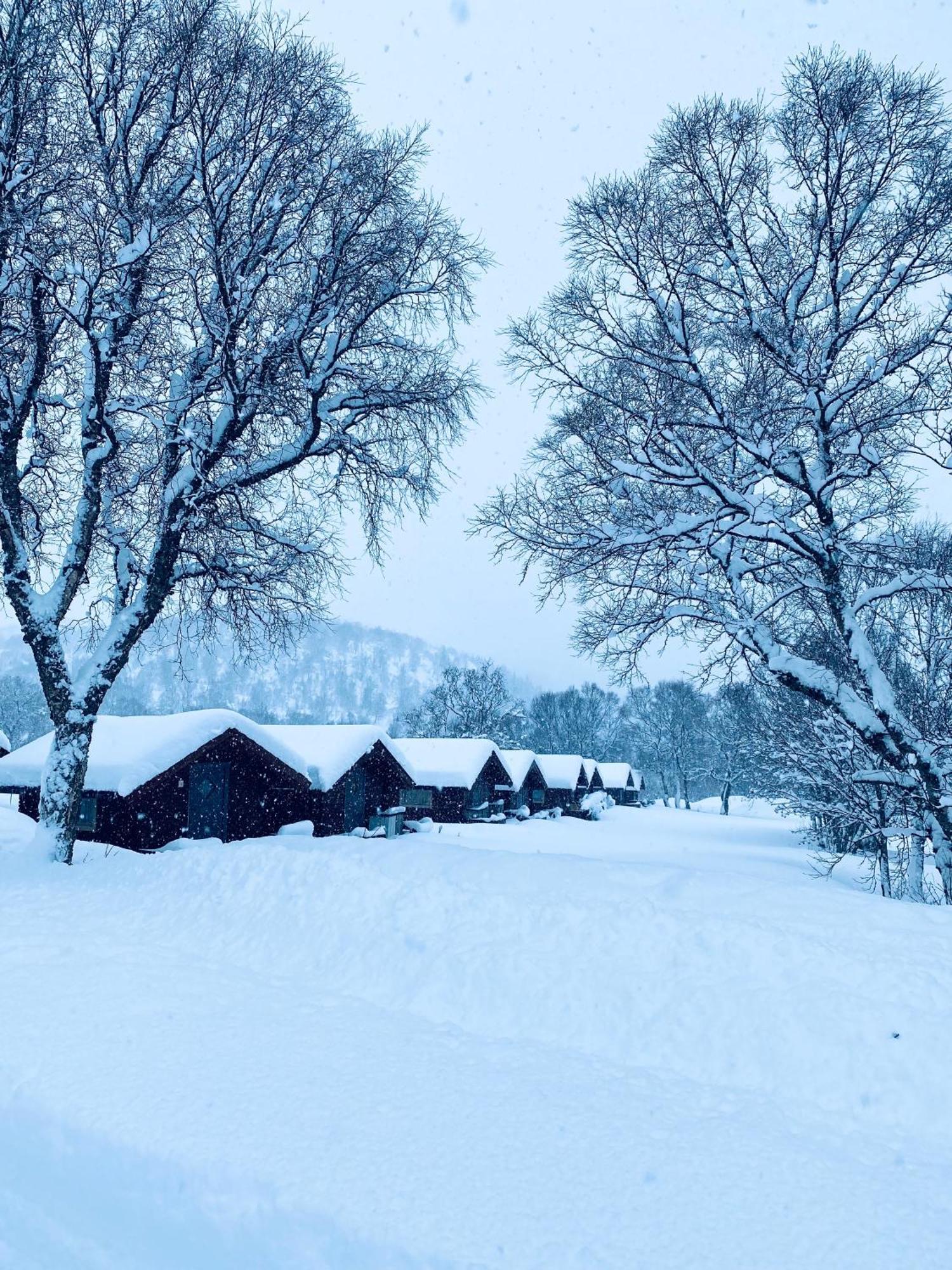 Sortland Camping Og Motell As Bagian luar foto